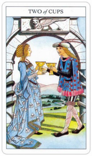 Beginners Guide To Tarot cards and book set US Games Systems