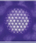 Beyond The Illusions Oracle cards Animal Dreaming - Hobby.lt 🇬🇧