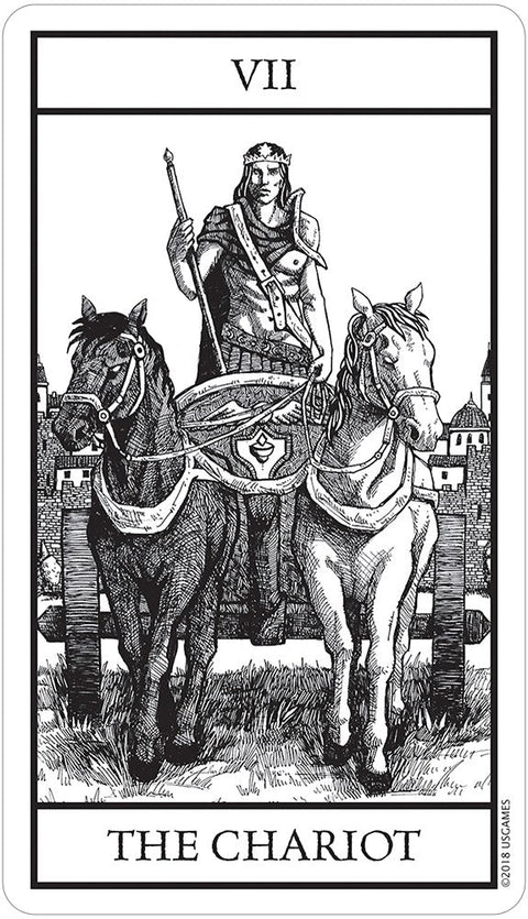 Bianco Nero Tarot Cards US Games Systems - Hobby.lt 🇬🇧