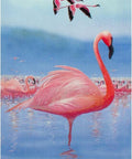 Bird Messages Cards Cico Books - Hobby.lt 🇬🇧