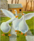 Bird Messages Cards Cico Books - Hobby.lt 🇬🇧