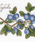 Blueberries SNV - 617 cross stitch kit by MP Studio - Hobby.lt 🇬🇧