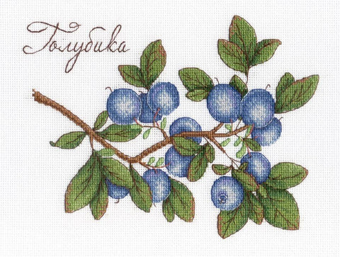 Blueberries SNV - 617 cross stitch kit by MP Studio - Hobby.lt 🇬🇧