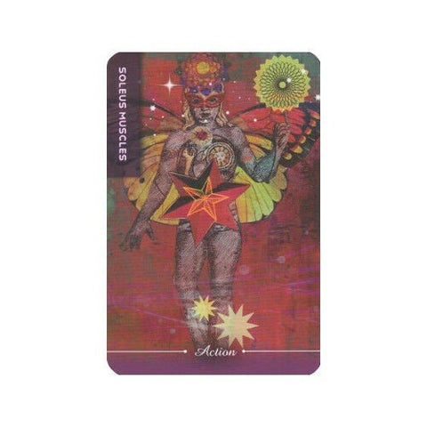 Body Cards Tarot Cards Schiffer Publishing - Hobby.lt 🇬🇧