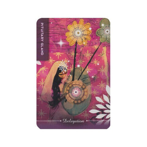 Body Cards Tarot Cards Schiffer Publishing