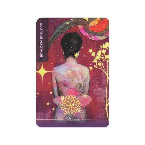 Body Cards Tarot Cards Schiffer Publishing