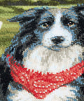 Border Collie cross stitch kit by RIOLIS Ref. no.: 1767 - Hobby.lt 🇬🇧