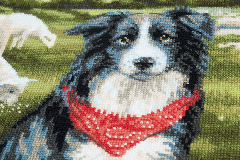 Border Collie cross stitch kit by RIOLIS Ref. no.: 1767 - Hobby.lt 🇬🇧