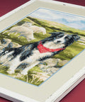 Border Collie cross stitch kit by RIOLIS Ref. no.: 1767 - Hobby.lt 🇬🇧