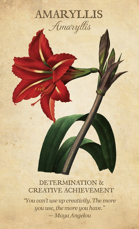 Inspiration Cards Botanical US Games Systems