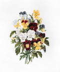 Bouquet of Pansies SBU4002 - Cross Stitch Kit - Hobby.lt 🇬🇧