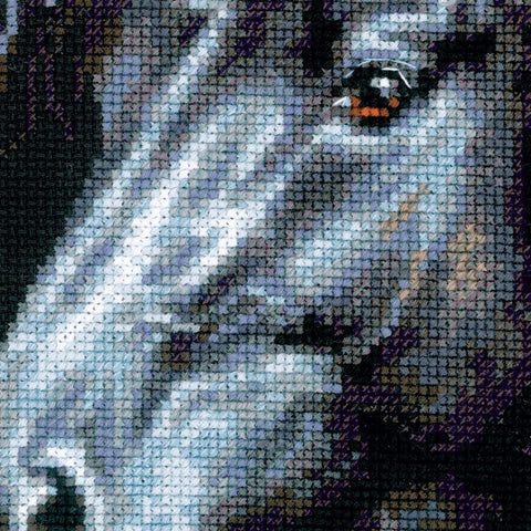 Breeze Through Mane - Cross Stitch Kit from RIOLIS Ref. no.:1494 - Hobby.lt 🇬🇧