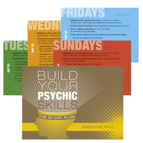 Build Your Psychic Skills The 90 Day Plan Cards Schiffer Publishing