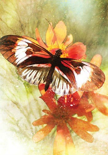 Butterfly Affirmations cards Blue Angel - Hobby.lt 🇬🇧