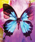 Butterfly Affirmations cards Blue Angel - Hobby.lt 🇬🇧