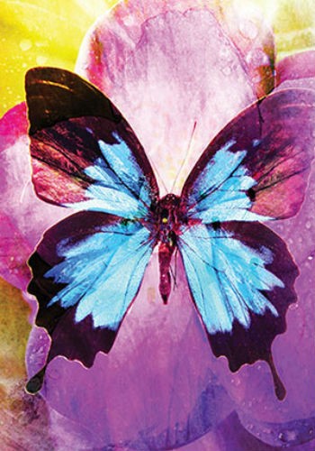 Butterfly Affirmations cards Blue Angel