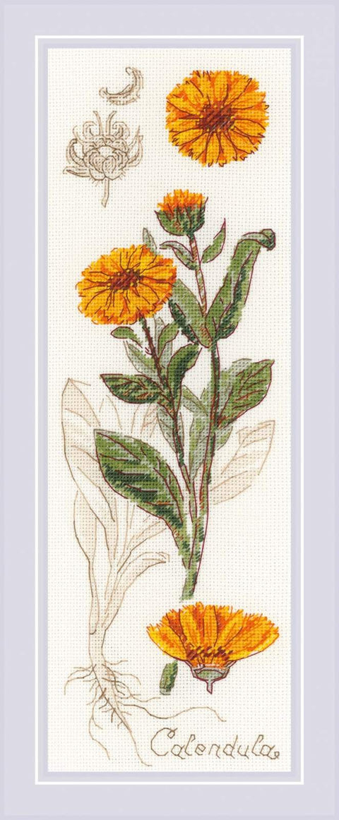 Calendula cross stitch kit by RIOLIS Ref. no.: 1798