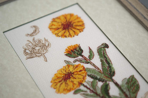 Calendula cross stitch kit by RIOLIS Ref. no.: 1798