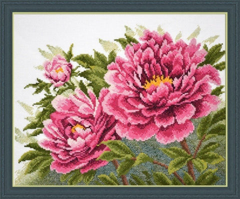 Californian Peonies S645 - Hobby.lt 🇬🇧