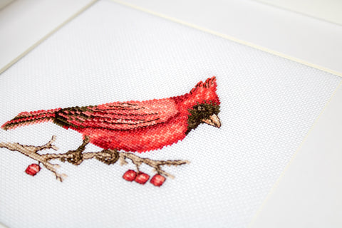 Cardinal SB1156 - Cross Stitch Kit