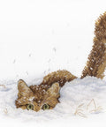 Cat in the Snow SNV - 557 cross stitch kit by MP Studio - Hobby.lt 🇬🇧