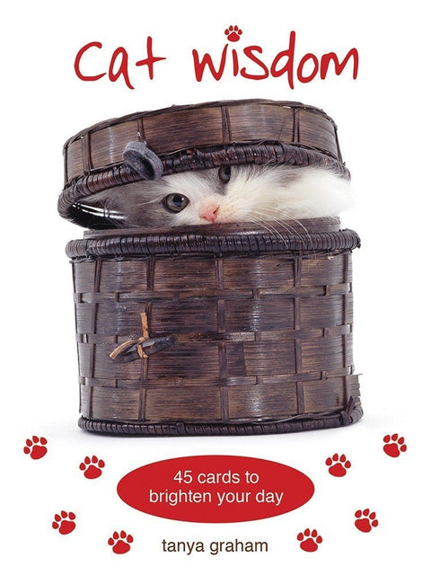 Cat Wisdom cards Blue Angel - Hobby.lt 🇬🇧