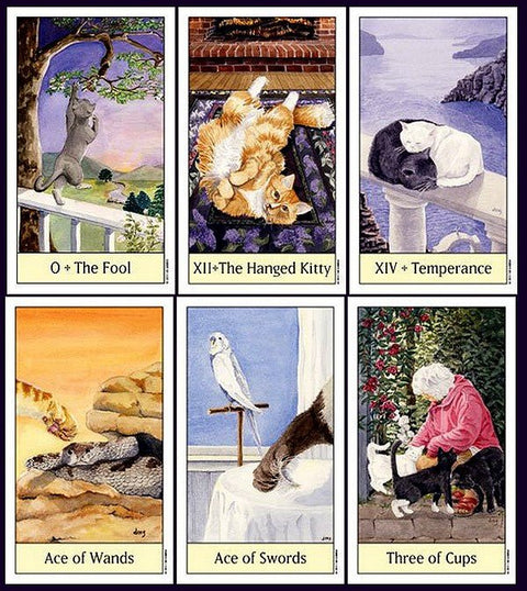 Cats Eye Tarot cards US Games Systems - Hobby.lt 🇬🇧