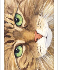 Cats Eye Tarot cards US Games Systems - Hobby.lt 🇬🇧