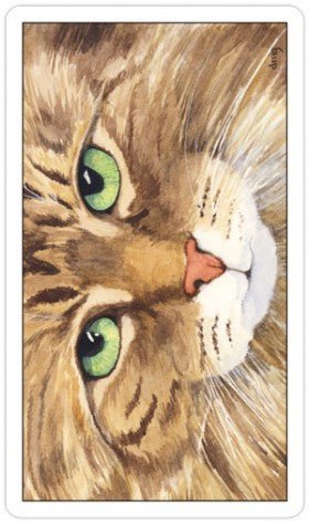 Cats Eye Tarot cards US Games Systems - Hobby.lt 🇬🇧