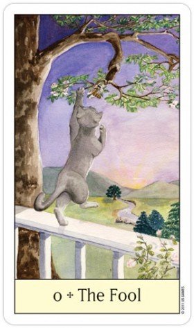 Cats Eye Tarot cards US Games Systems - Hobby.lt 🇬🇧