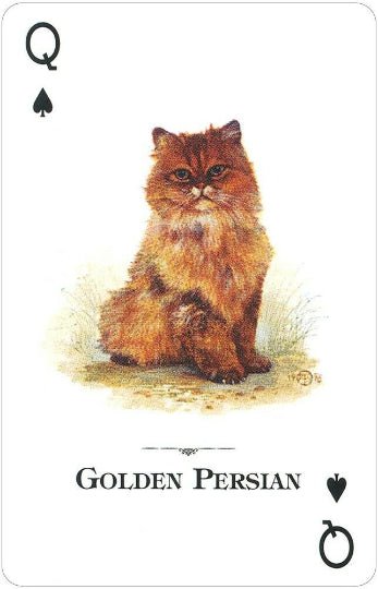 Cats of the Natural World playing cards - Hobby.lt 🇬🇧