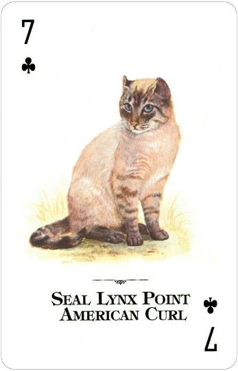 Cats of the Natural World playing cards - Hobby.lt 🇬🇧