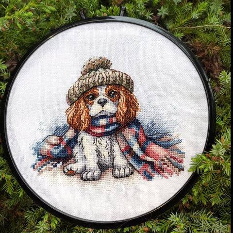 Cavalier King Charles Spaniel Cross Stitch Kit, 14 ct Aida Fabric, 37 Colors, Luca-S & DMC Threads, AVA Stitch, 16.87 x 14.51 cm