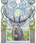 Celtic Astrology Oracle Cards Lo Scarabeo - Hobby.lt 🇬🇧