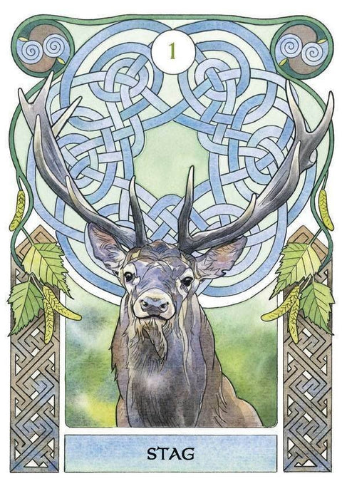 Celtic Astrology Oracle Cards Lo Scarabeo - Hobby.lt 🇬🇧