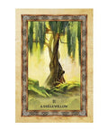 Celtic Tree Oracle cards Blue Angel - Hobby.lt 🇬🇧