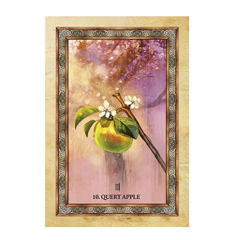Celtic Tree Oracle cards Blue Angel - Hobby.lt 🇬🇧