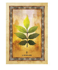 Celtic Tree Oracle cards Blue Angel - Hobby.lt 🇬🇧