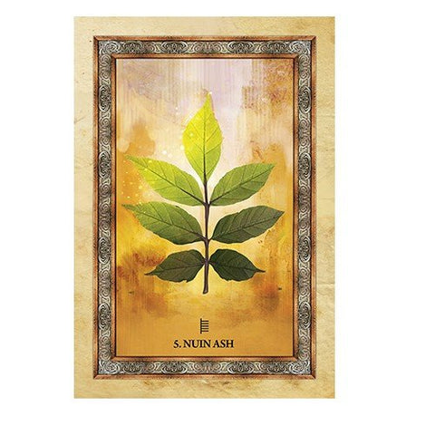 Celtic Tree Oracle cards Blue Angel - Hobby.lt 🇬🇧