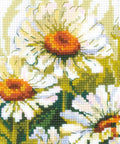 Chamomiles cross stitch kit by RIOLIS Ref. no.: 1765 - Hobby.lt 🇬🇧