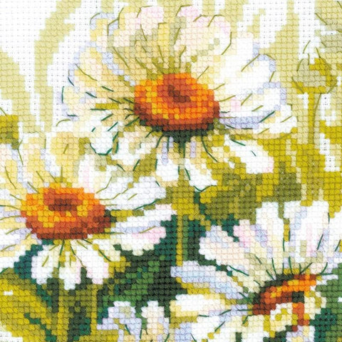 Chamomiles cross stitch kit by RIOLIS Ref. no.: 1765 - Hobby.lt 🇬🇧