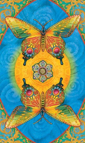 Chrysalis tarot cards and book set US Games Systems - Hobby.lt 🇬🇧
