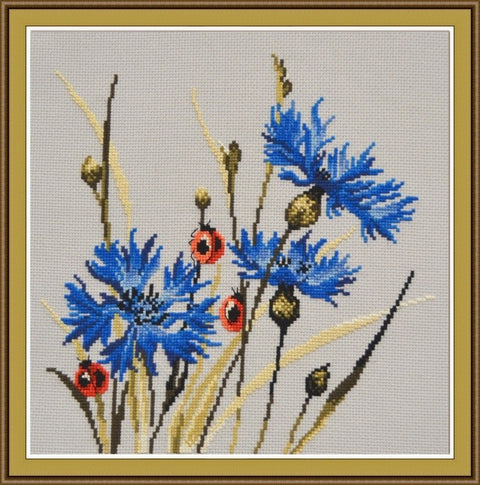 Cornflowers S799