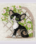 Cornish Rex Kitten. Cross Stitch kit by RIOLIS Ref. no.: 2121 - Hobby.lt 🇬🇧