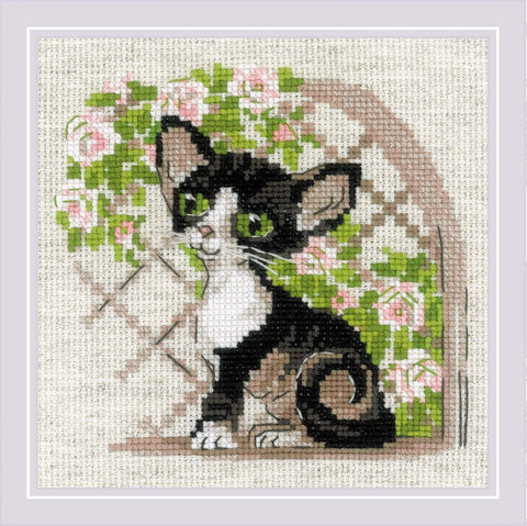 Cornish Rex Kitten. Cross Stitch kit by RIOLIS Ref. no.: 2121 - Hobby.lt 🇬🇧