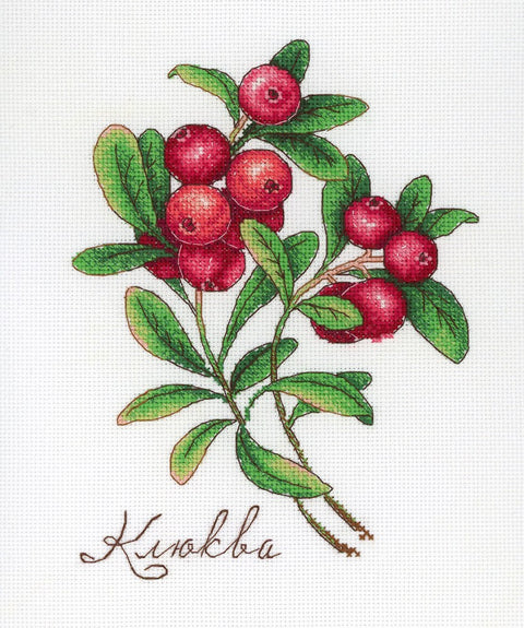 Cranberry SNV-649 cross stitch kit by MP Studio