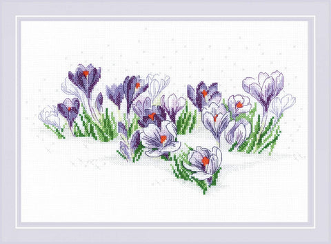 Crocuses under the Snow cross stitch kit by RIOLIS Ref. no.: 1855 - Hobby.lt 🇬🇧