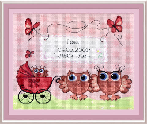 Cross Stitch Kit Birth Sampler Owlets SRK-317