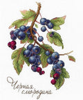 Cross Stitch Kit Gifts of Nature. Black Currant SNV - 694 - Hobby.lt 🇬🇧