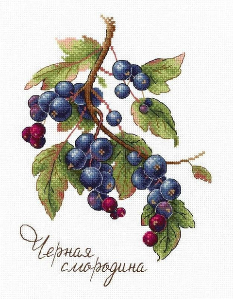 Cross Stitch Kit Gifts of Nature. Black Currant SNV-694